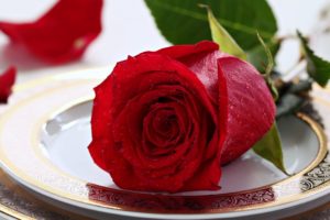 emotions,  , Flowers,  , For,  , Life,  , Love,  , Red,  , Romance,  , Rose,  , Spring,  , Meal