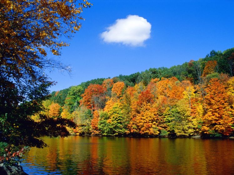 nature, Trees, Orange, Rivers, Autumn HD Wallpaper Desktop Background