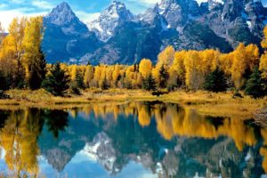 landscapes, Autumn,  season , Forest, Wyoming, Grand, Teton, National, Park, Lakes, National, Park, Reflections