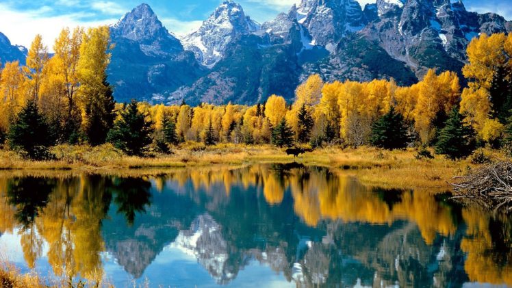 landscapes, Autumn,  season , Forest, Wyoming, Grand, Teton, National, Park, Lakes, National, Park, Reflections HD Wallpaper Desktop Background