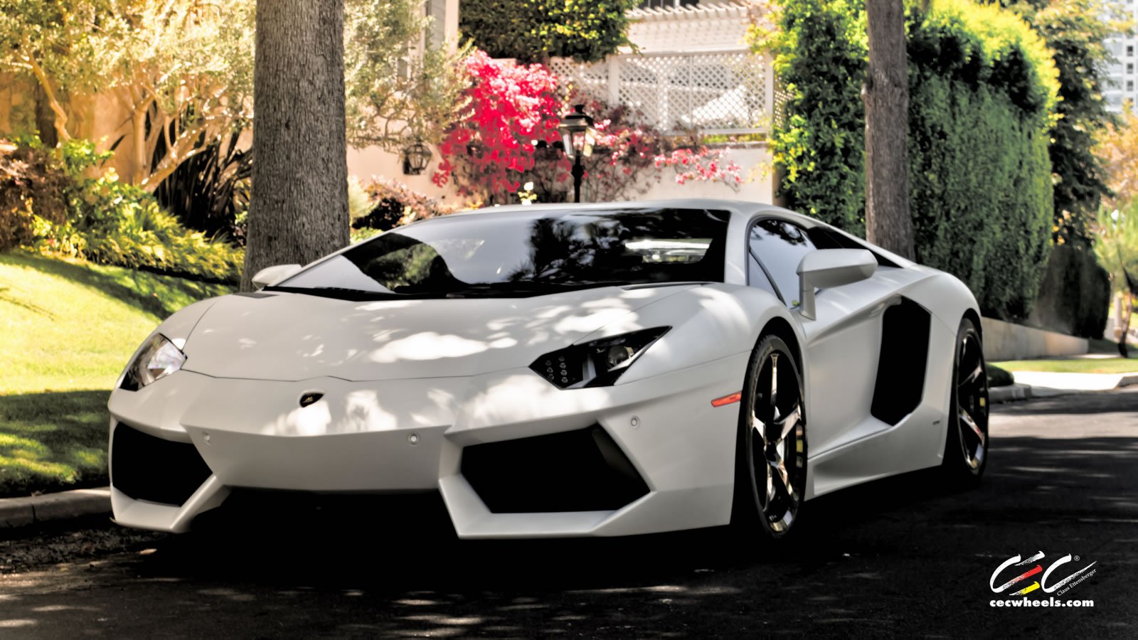 2015, Cars, Cec, Tuning, Wheels, Supercars, Lamborghini, Aventador Wallpaper