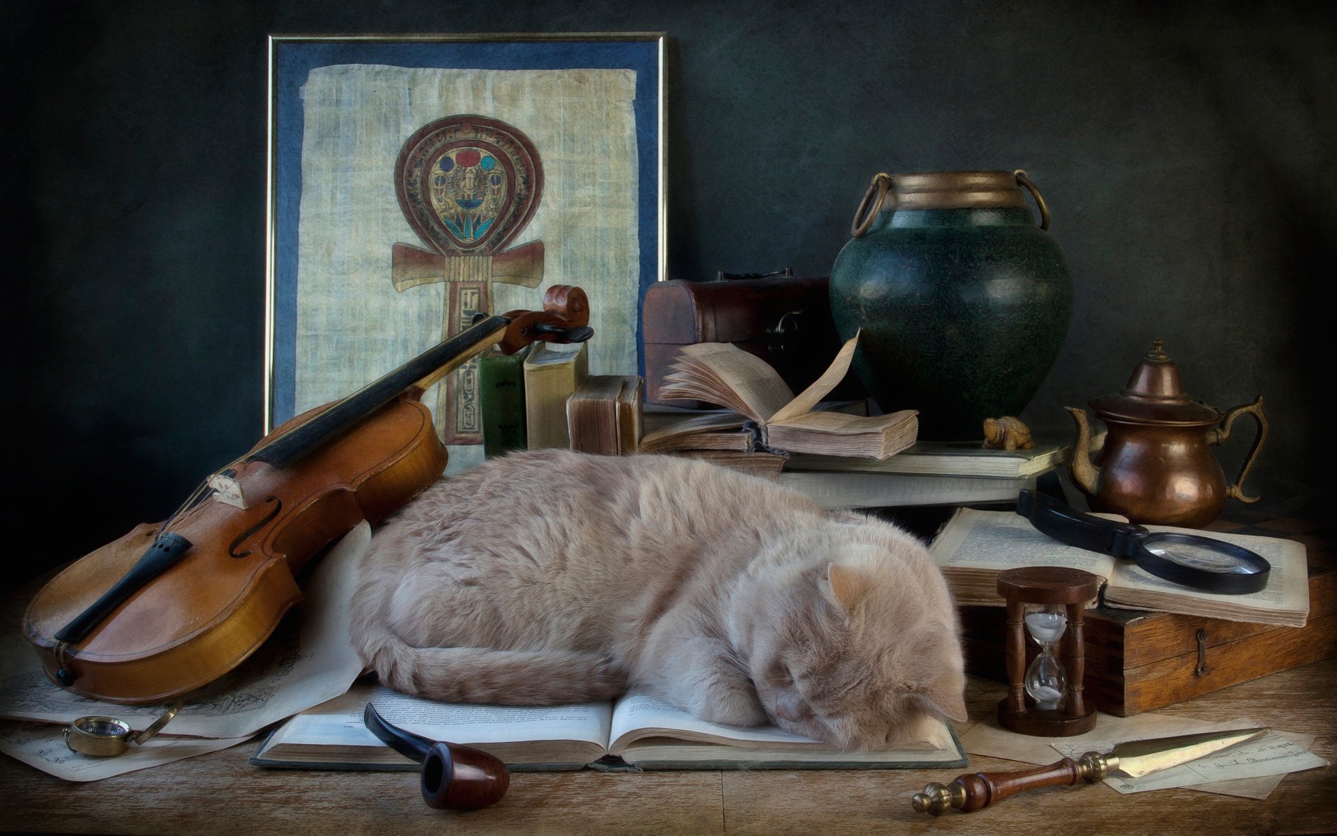 cat, Book, Sleep, Violin, Pipe Wallpaper