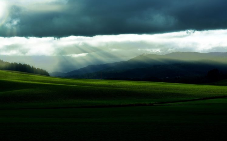 field, Grass, Hills, Trees, Forest, Sky, Clouds, Sun, Morning, Nature, Landscape, Lawn HD Wallpaper Desktop Background