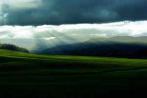 field, Grass, Hills, Trees, Forest, Sky, Clouds, Sun, Morning, Nature, Landscape, Lawn