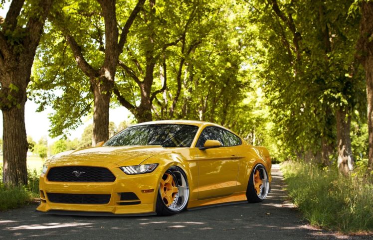 ford, Mustang, 2015, Stance, Yellow, Tuning, Front, Wheels, Tuning, Hot, Rod, Rods, Muscle HD Wallpaper Desktop Background