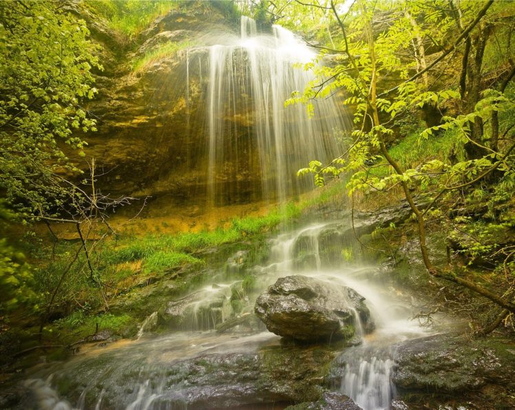 forest, Rocks, Trees, Waterfall, Nature HD Wallpaper Desktop Background