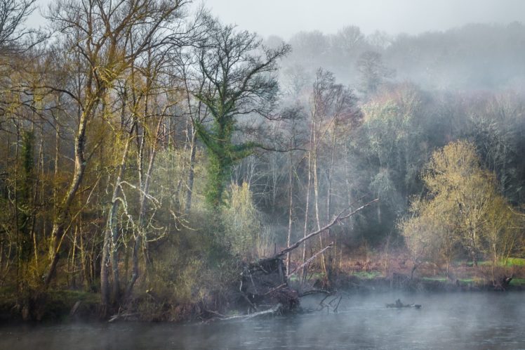 forest, River, Fog, Autumn HD Wallpaper Desktop Background