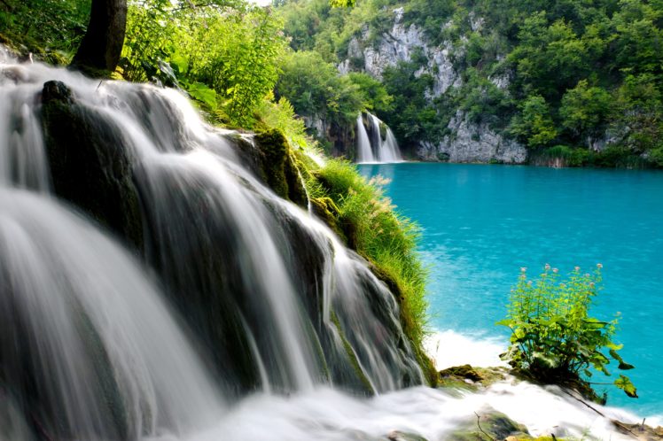 forest, Trees, Lake, Stream, Waterfall HD Wallpaper Desktop Background