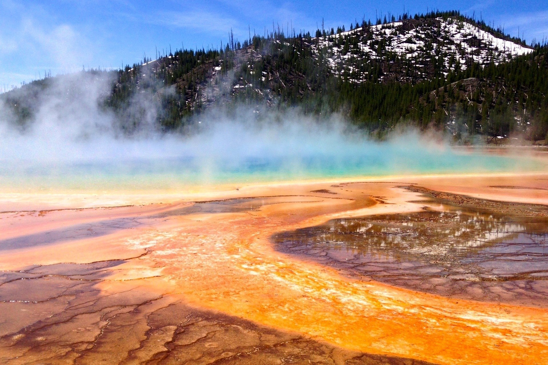 hot, Spring, Trees, Yellowstone, National, Park, Grand, Prismatic ...