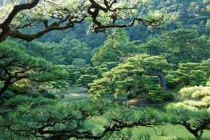 japan, Parks, Takamatsu, Ritsurin, Garden, Trees, Nature
