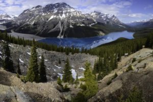 lake, Drink, Mountains, Forest, Landscape, Peyto, Lake, Banff, National, Park, Canada, Trees, Spruce, Alberta, Alberta, Sky, Banff, National, Park
