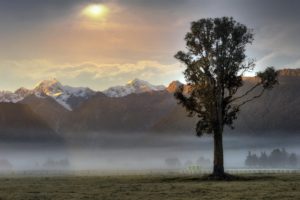 mountains, Fog, Tree, Morning, Sunrise, Landscape, Nature