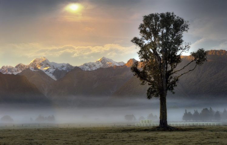 mountains, Fog, Tree, Morning, Sunrise, Landscape, Nature HD Wallpaper Desktop Background
