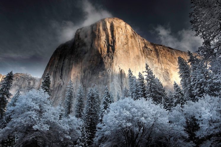 nature, Forest, 2015, Mountains, Frost, Winter HD Wallpaper Desktop Background