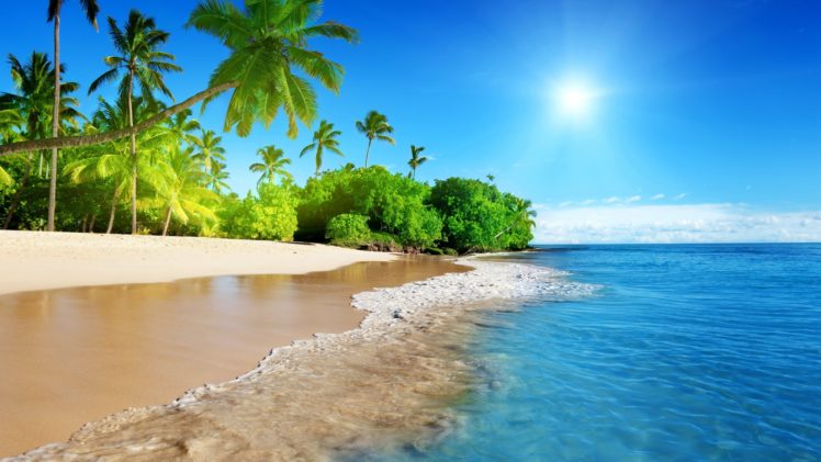 ocean, Palm, Trees, Tropical, Wave, Sun HD Wallpaper Desktop Background