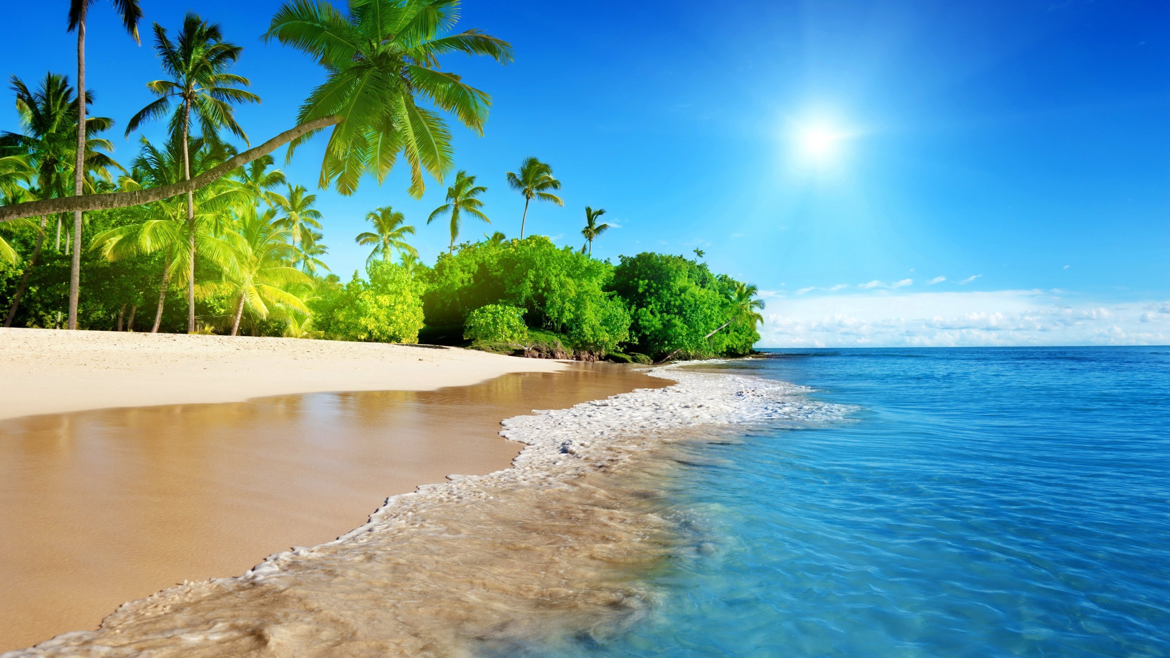 ocean, Palm, Trees, Tropical, Wave, Sun Wallpaper