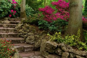 parks, Stairs, Shrubs, Trunk, Tree, Nature