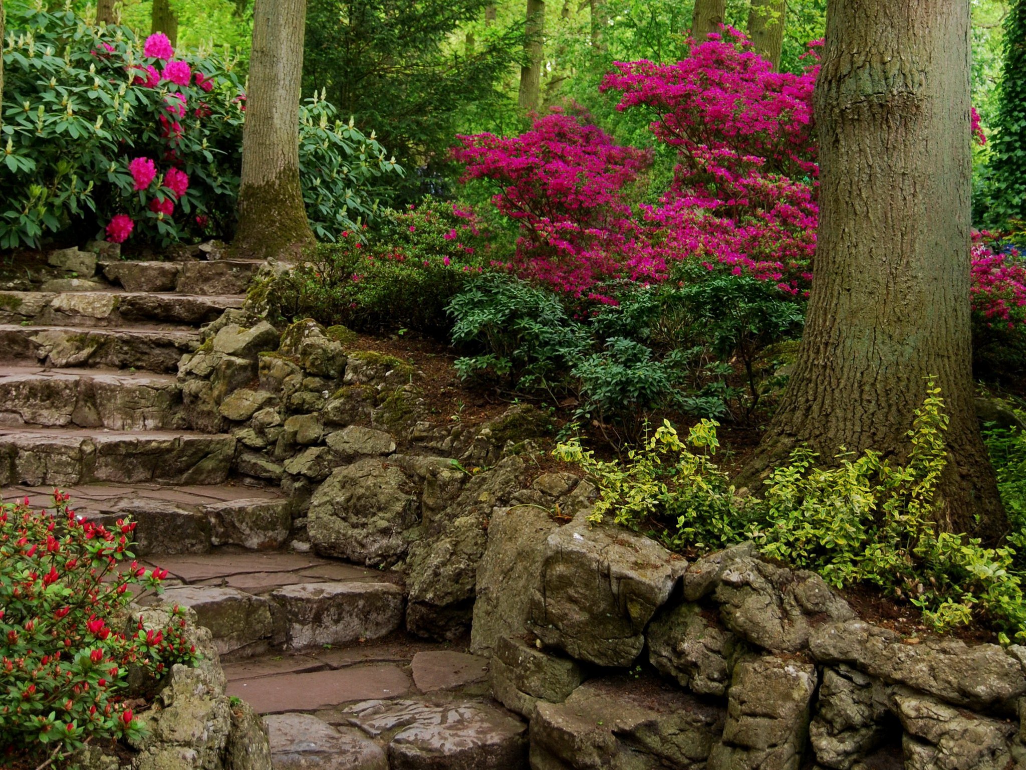 parks, Stairs, Shrubs, Trunk, Tree, Nature Wallpaper