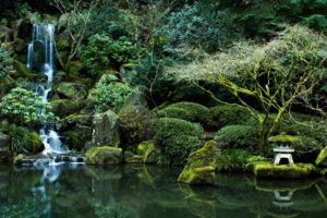 pond, Nature, Rocks, Portland, Oregon, Portland, Japanese, Garden