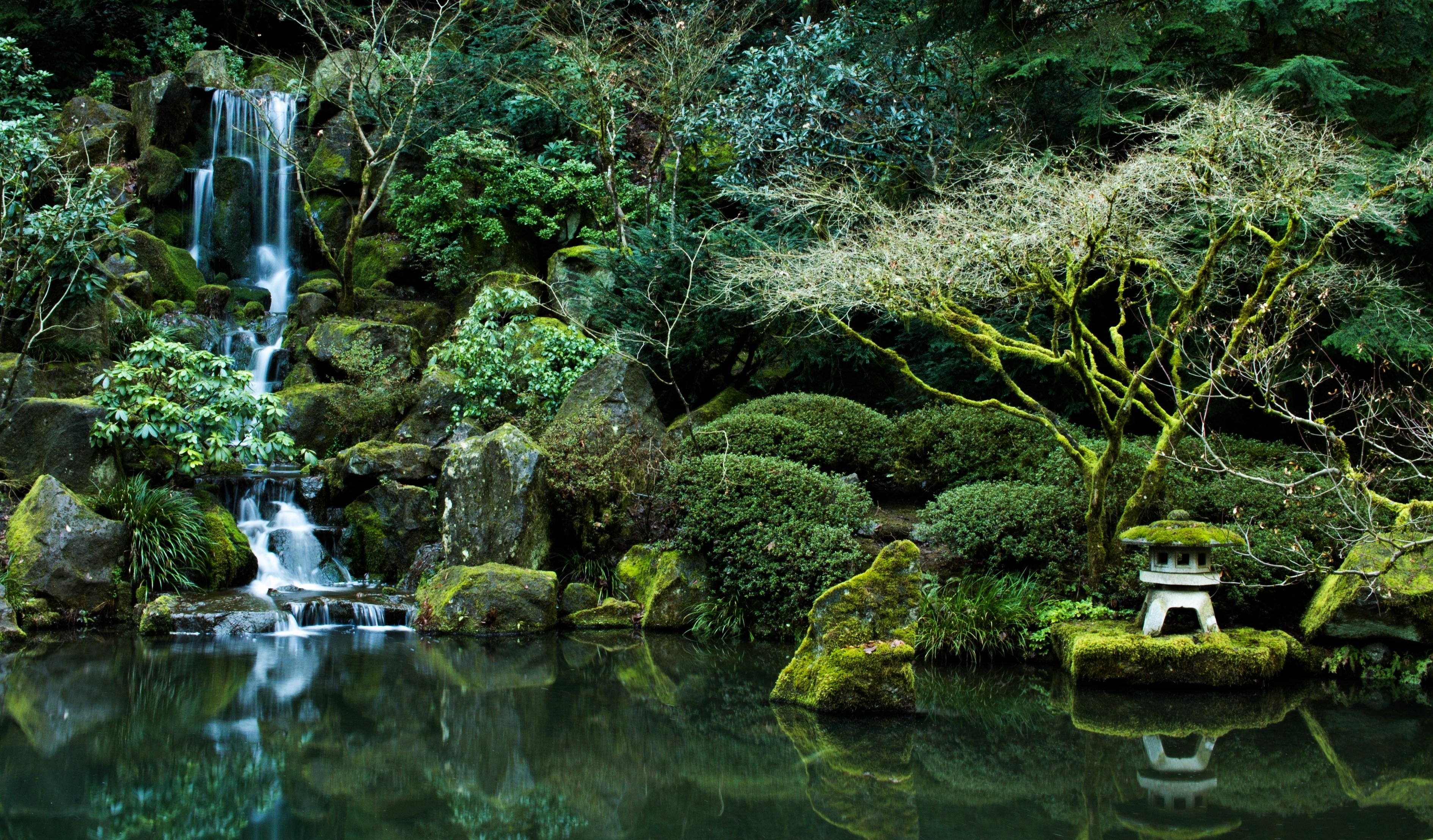 pond, Nature, Rocks, Portland, Oregon, Portland, Japanese, Garden Wallpaper