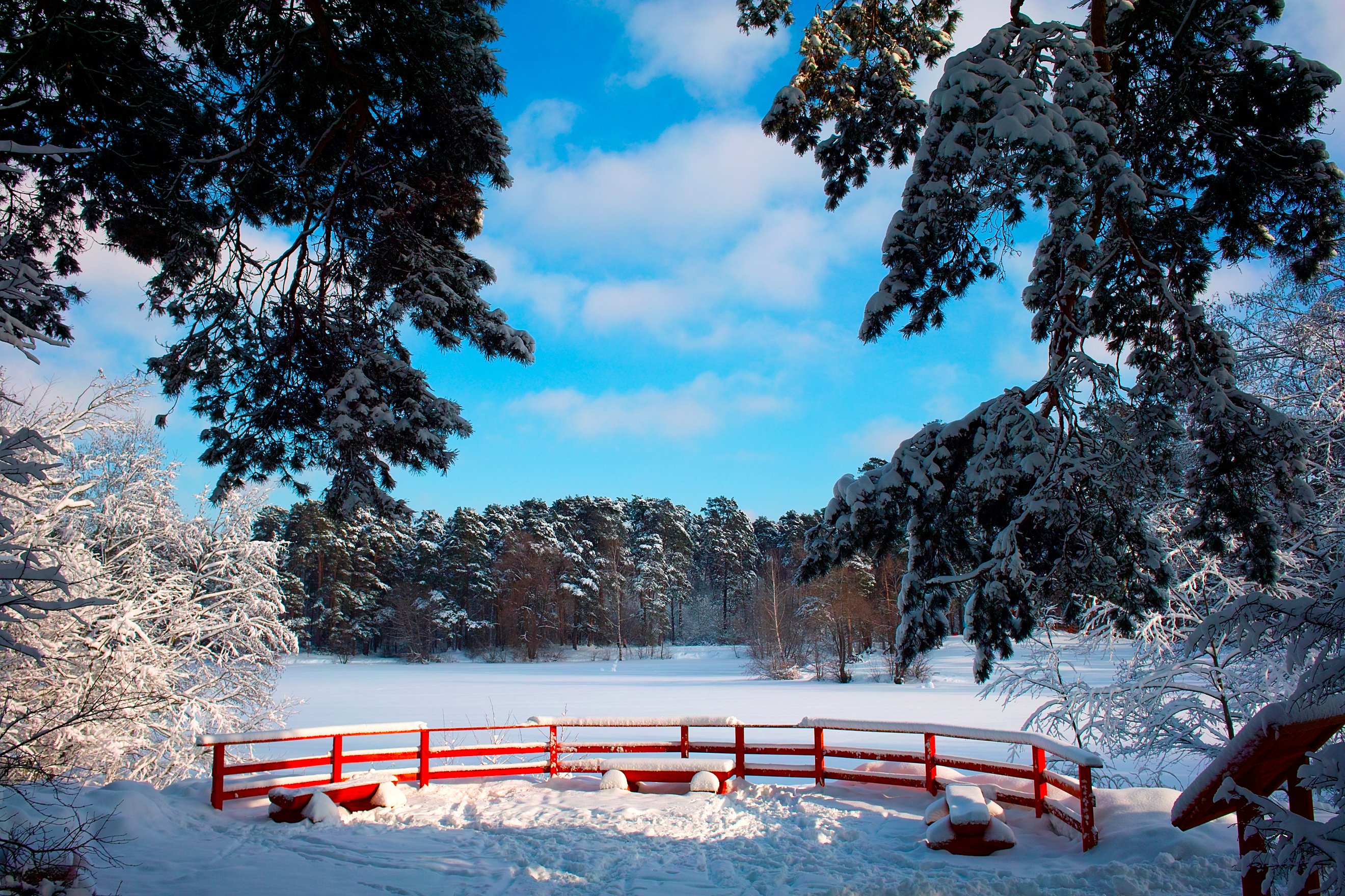 russia, Seasons, Winter, Scenery, Snow, Trees, Nature Wallpaper