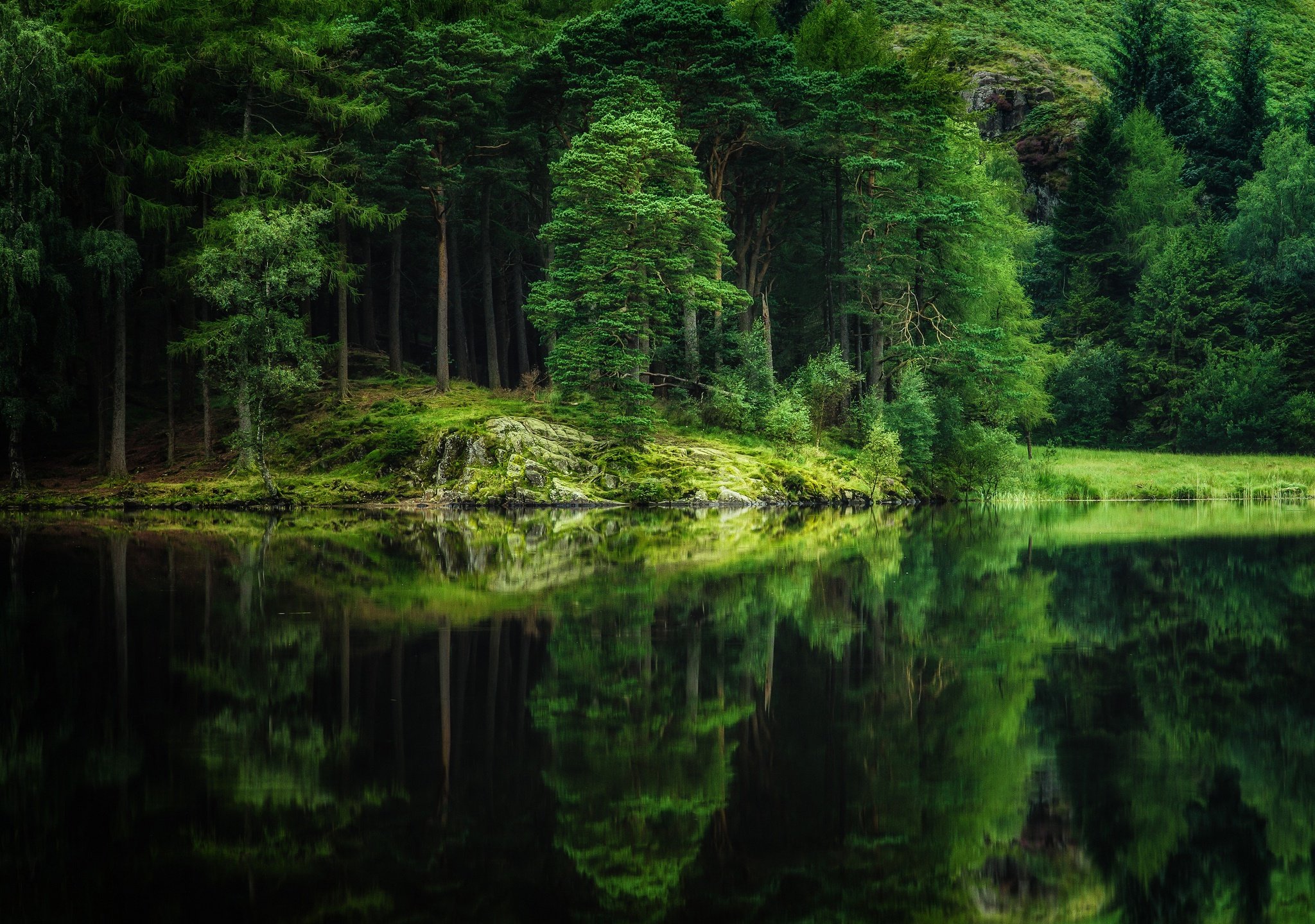 rivers, Forests, Trees, Hdr, Nature Wallpaper