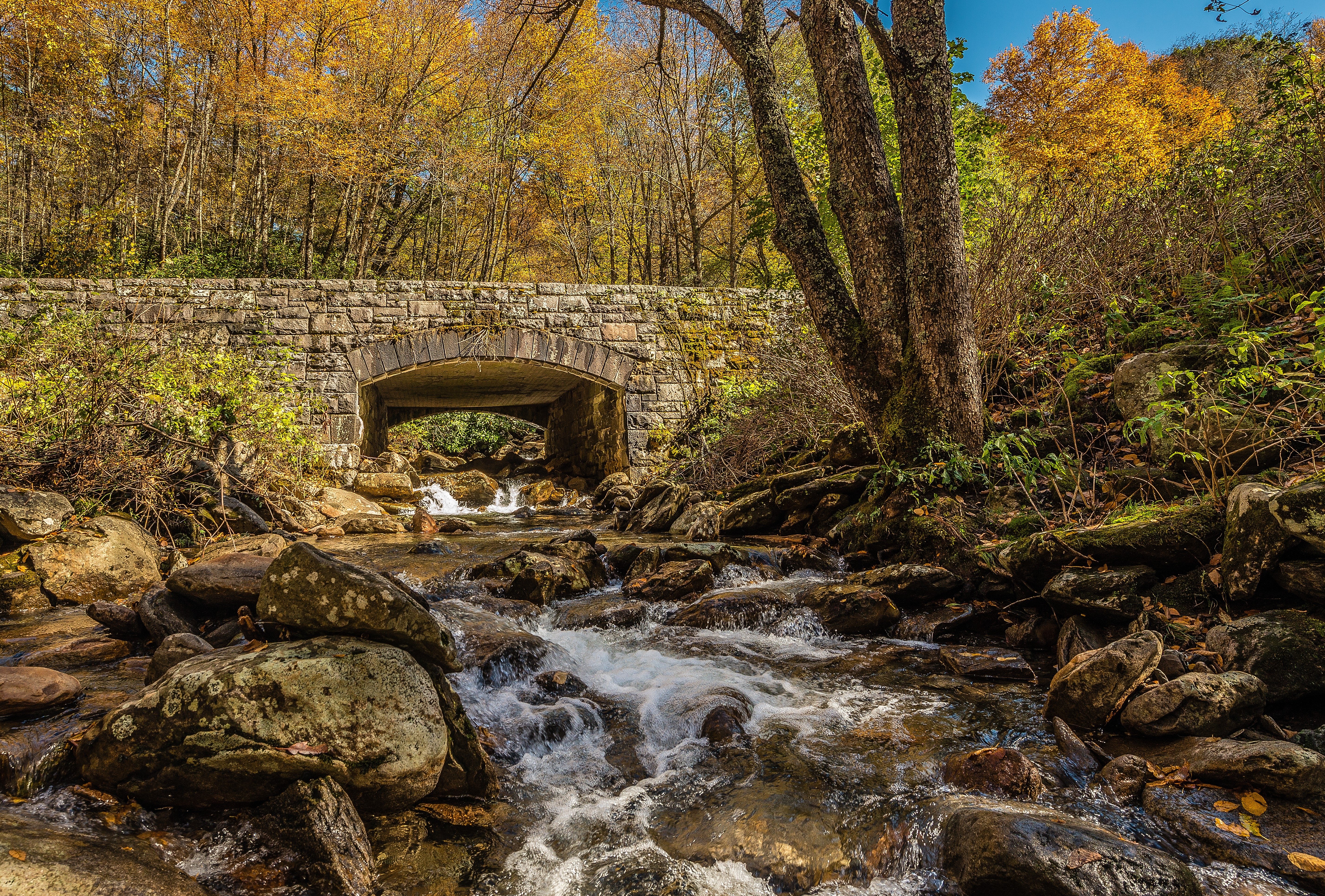 river, Rocks, Bridge, Trees, Autumn, Nature Wallpaper