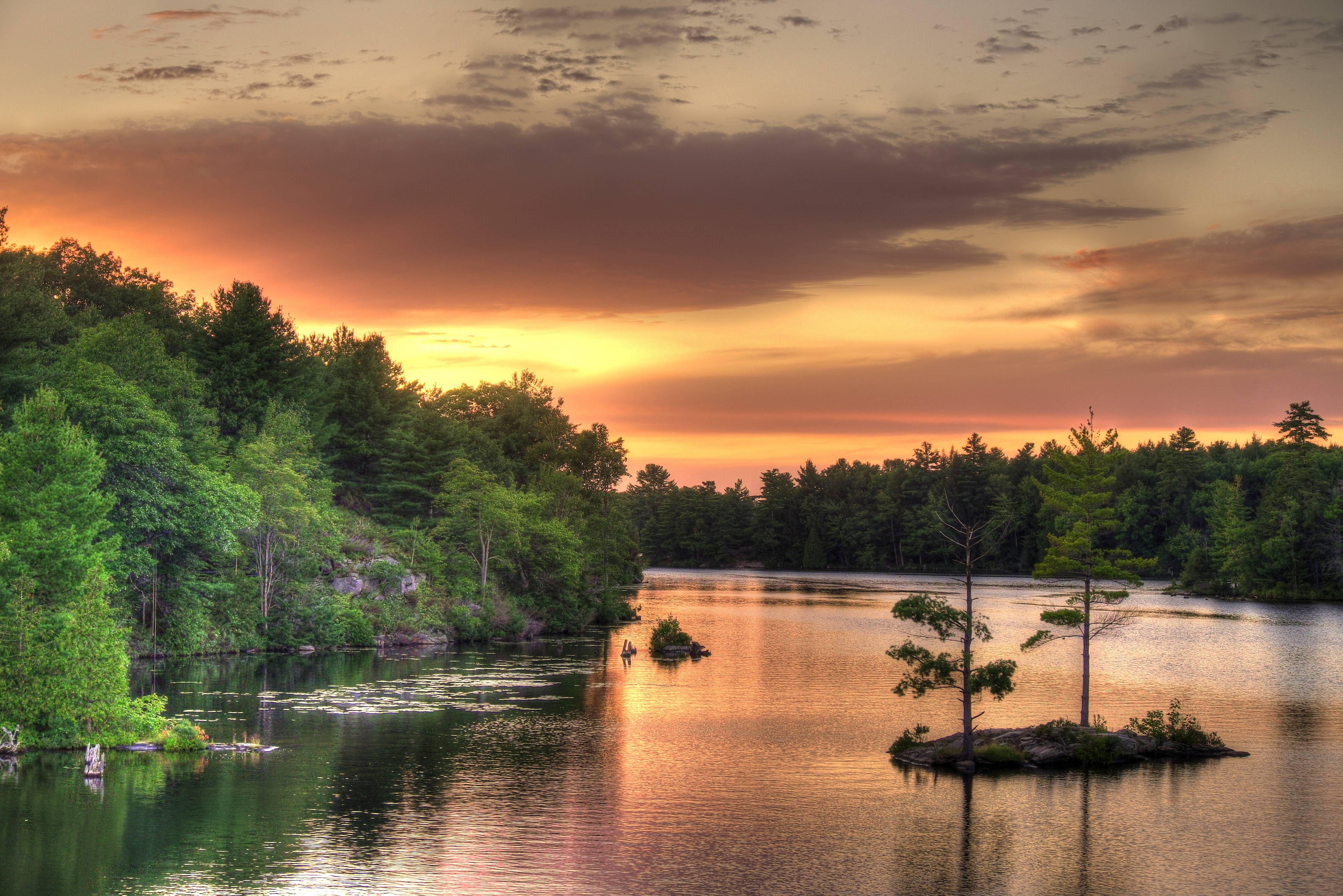 sunset, River, Forest, Trees, Landscape Wallpaper