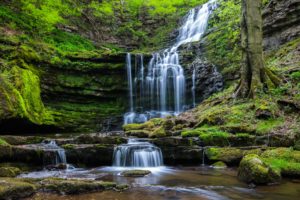 waterfall, Rocks, Trees, Nature