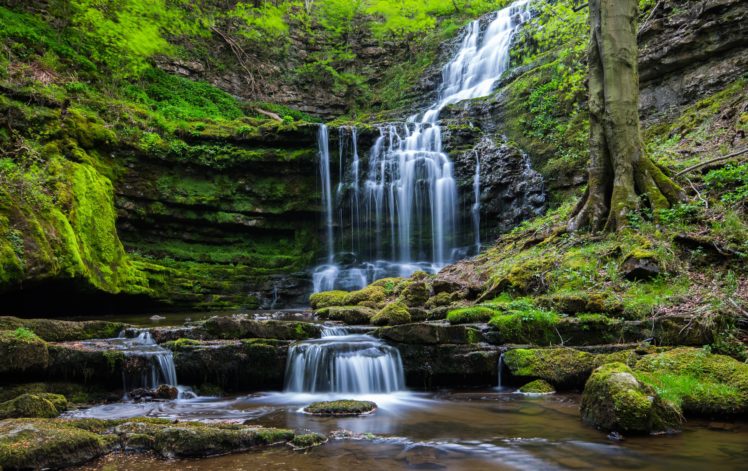 waterfall, Rocks, Trees, Nature HD Wallpaper Desktop Background