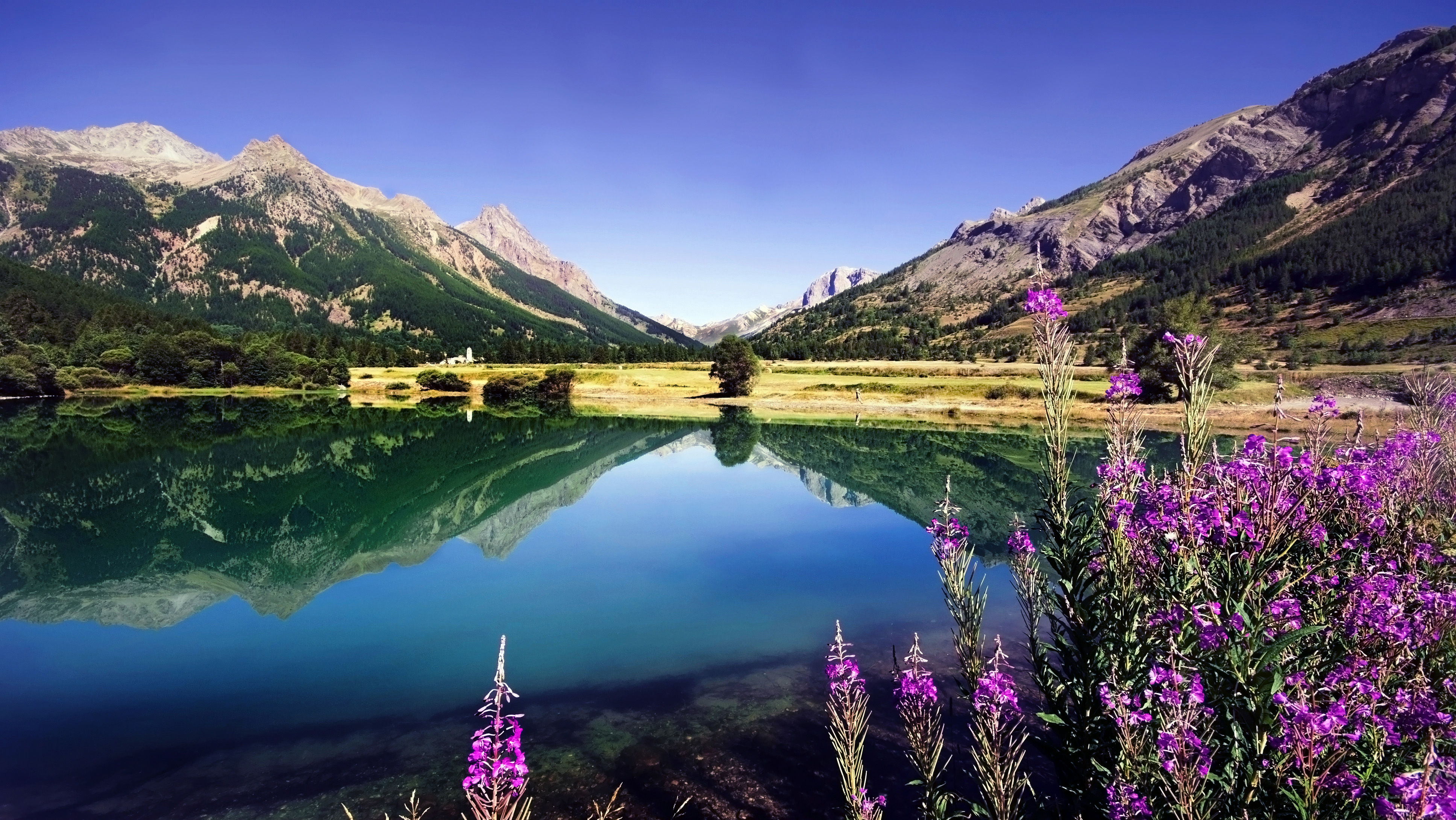 nature Wallpaper