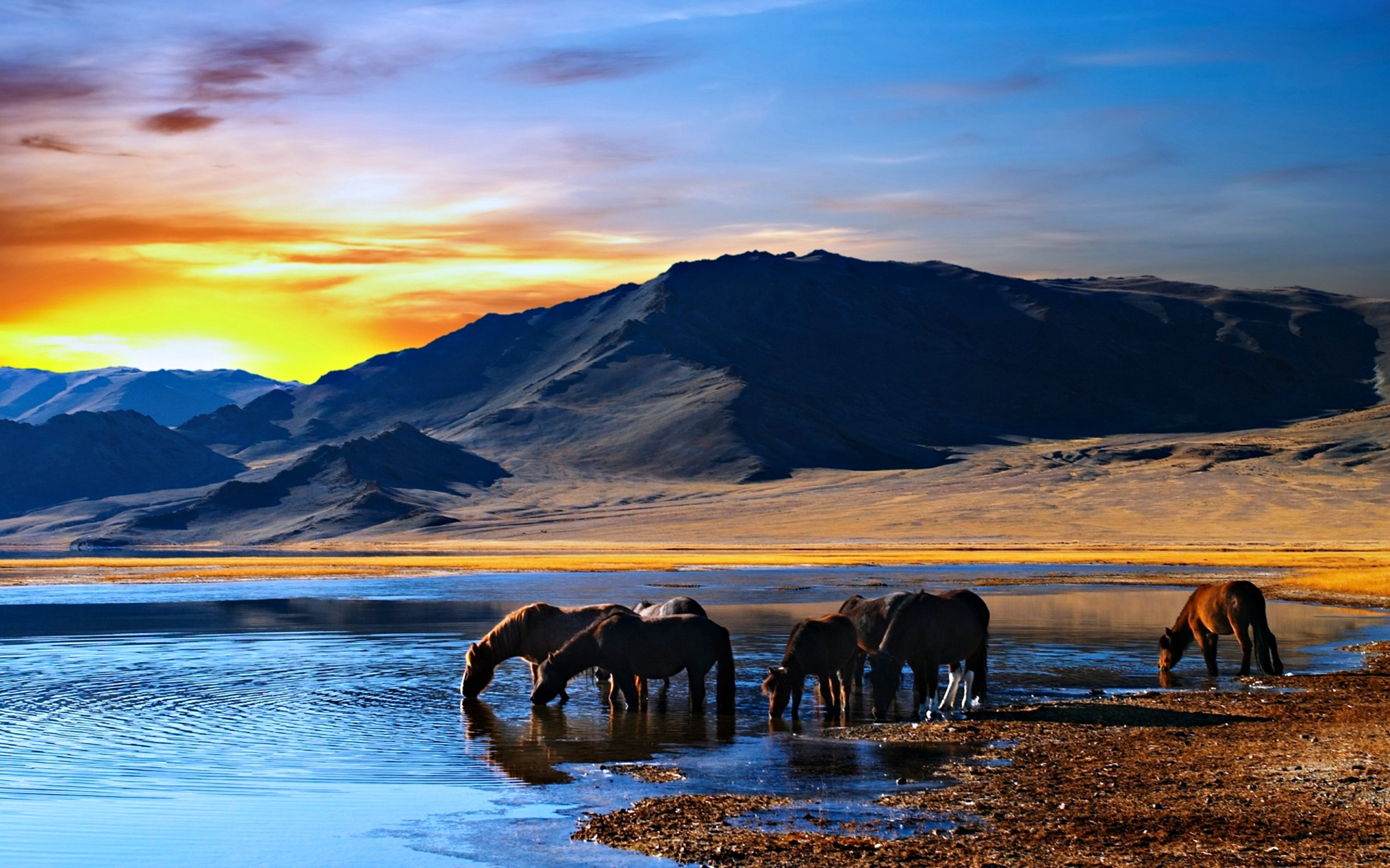 horses, Landscapes, Lake, Nature, Mountains, Water, Sunrise Wallpaper