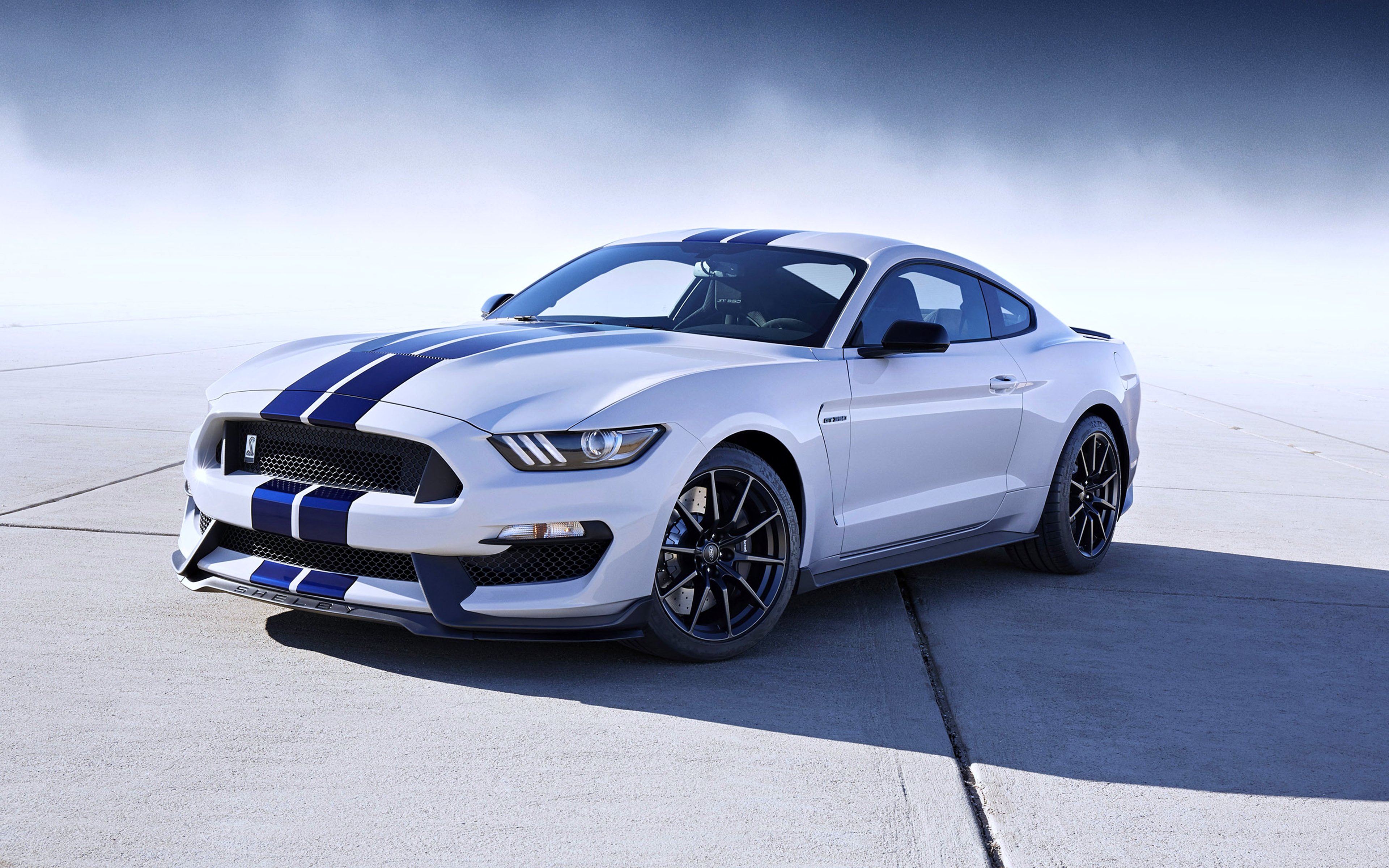 2016, Ford mustang, Shelby, Gt350, Cars, Speed, Race, Motors, Super Wallpaper
