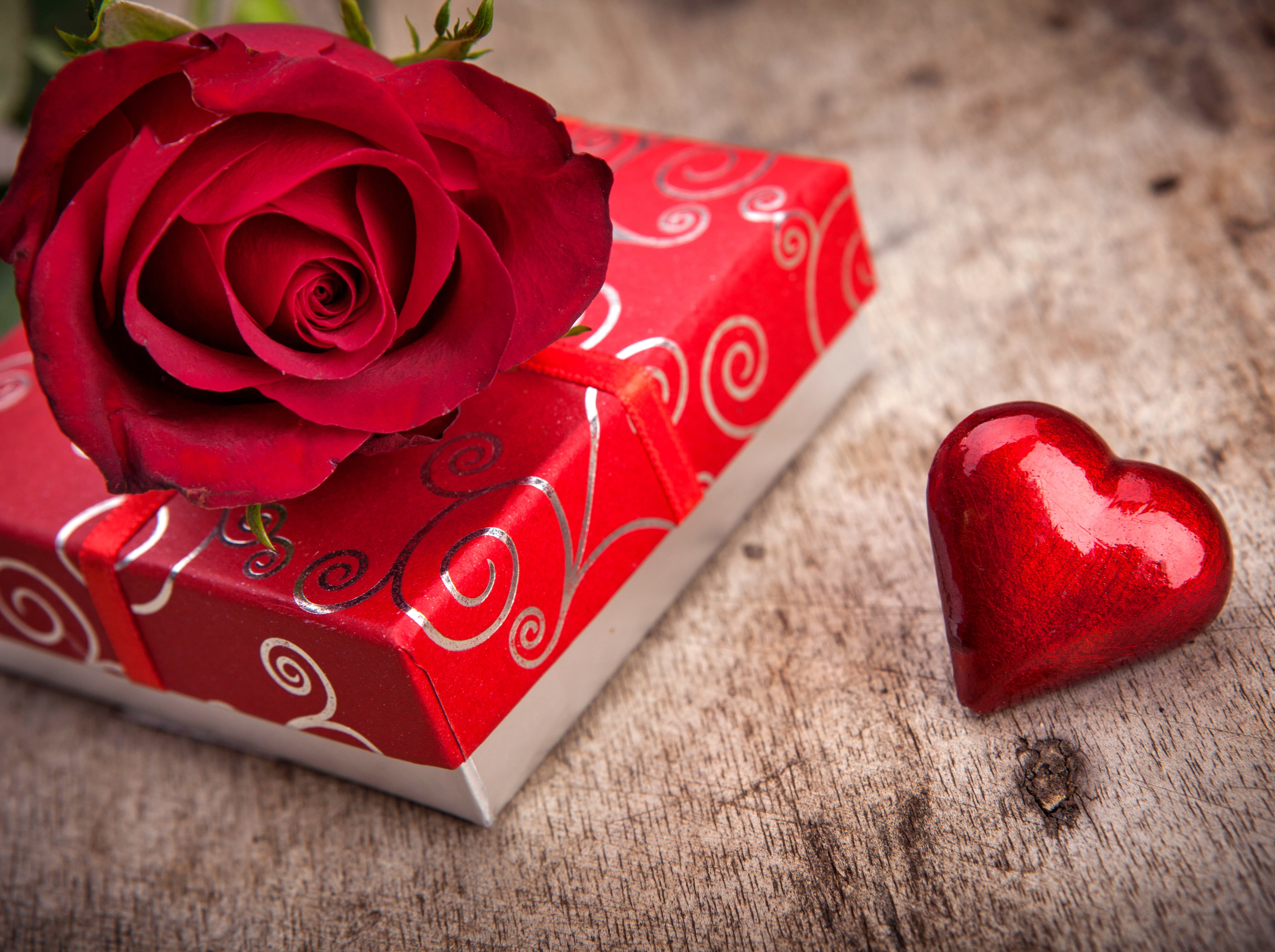 rose, Flowers, Red, Love, Romance, Life, For, Chocolate, Gift, Couple, Heart Wallpaper