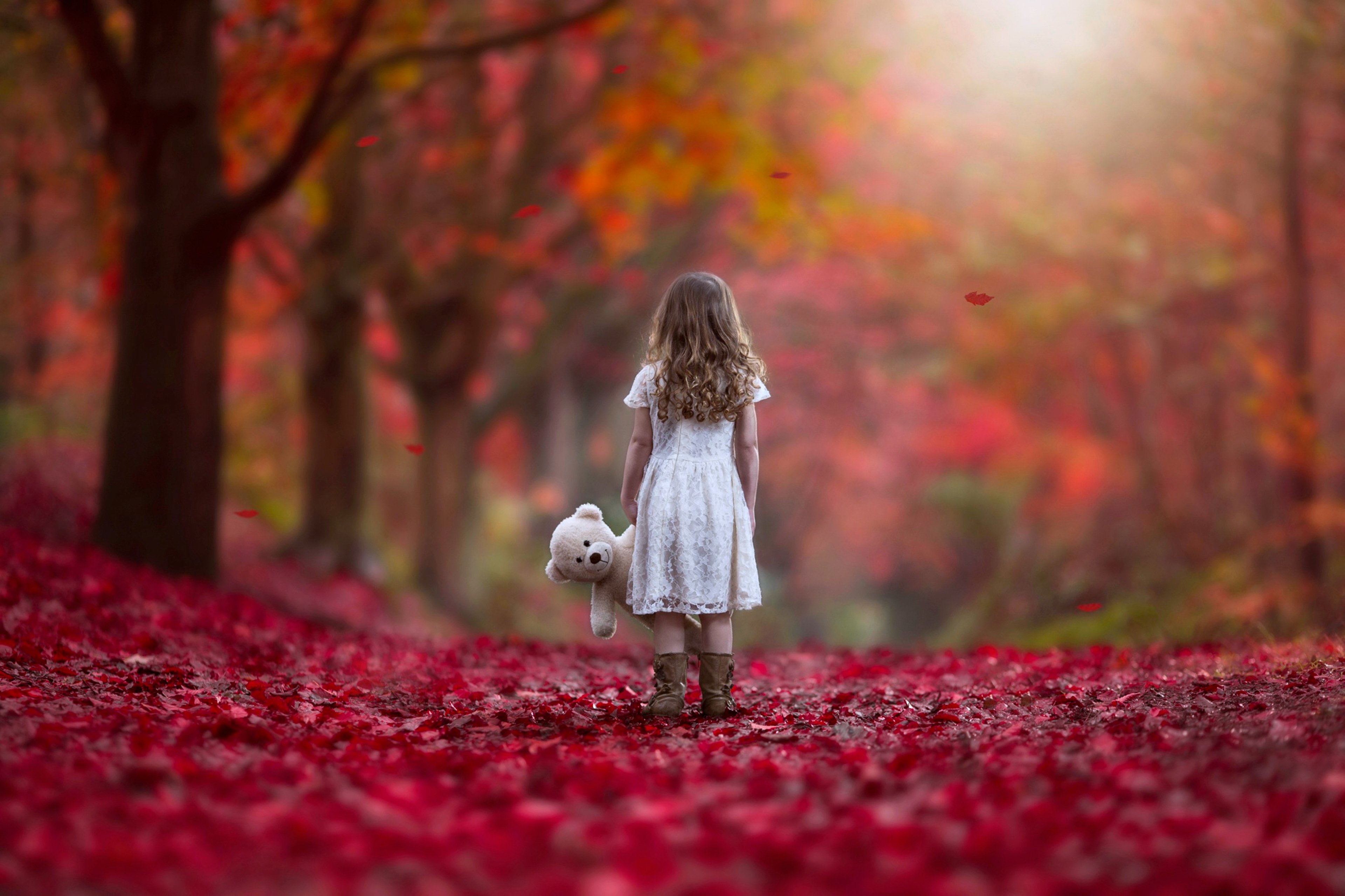 autumn, Littel, Girl, Forest, Sad, Lonely, Alone, Red, Nature, Princess, Doll, Way, Kids, Child Wallpaper