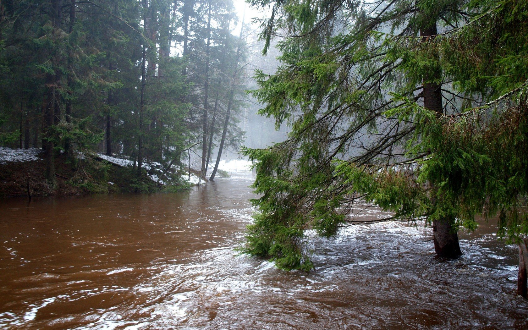 stream, Flood Wallpaper