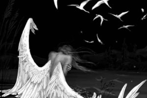 angel, Fairy, Wings, Girl, Fantasy, Bird