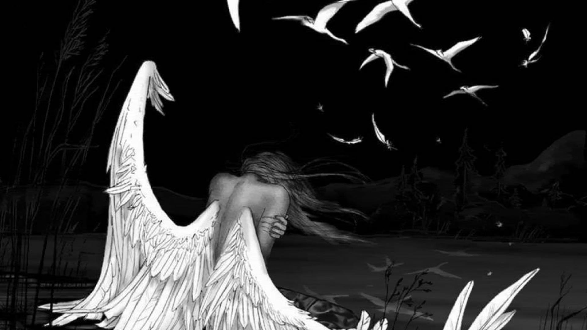 angel, Fairy, Wings, Girl, Fantasy, Bird Wallpaper