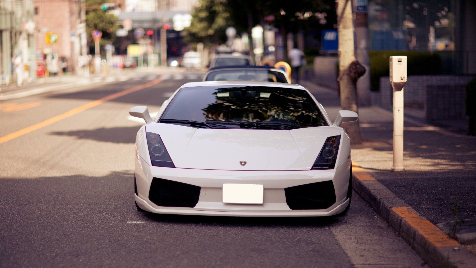 lamborghini, White Wallpaper