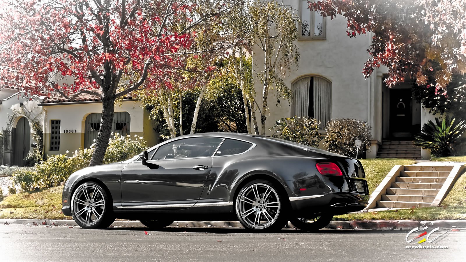 2015, Cars, Cec, Tuning, Wheels, Bentley, Continental, Gt Wallpaper