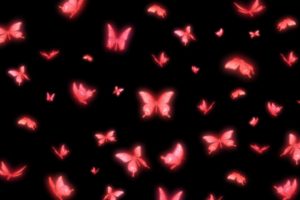 fatal, Frame, Project, Zero, Supernatural, Survival, Horror, Dark, 1fframe, Exploration, Fantasy, Gothic, Japanese, Butterfly