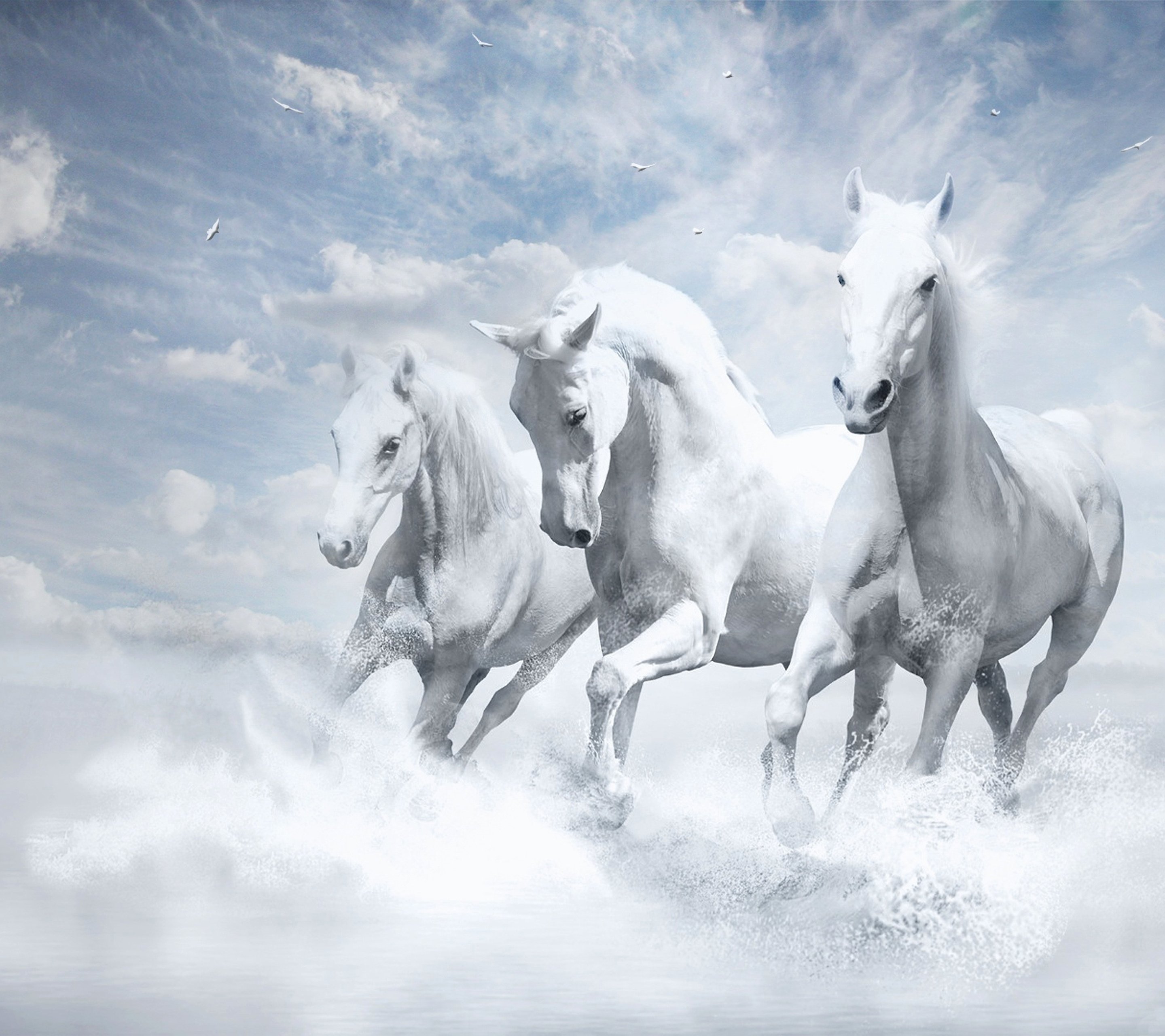 white, Horse wallpaper 10371683 Wallpaper