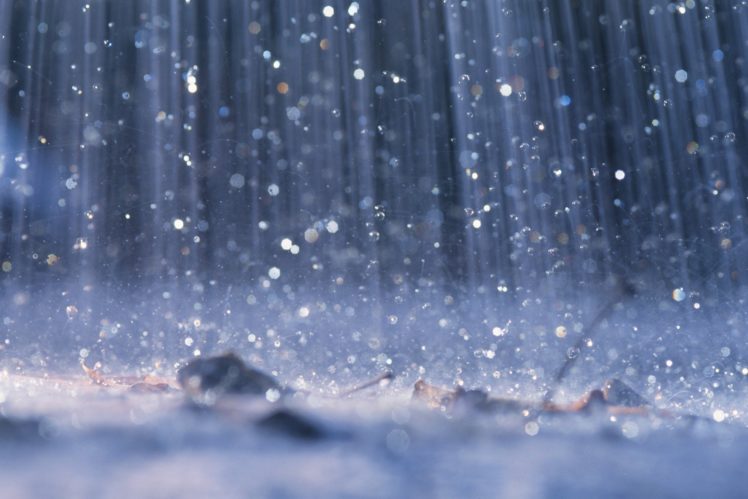 lluvias agua gotas naturaleza HD Wallpaper Desktop Background