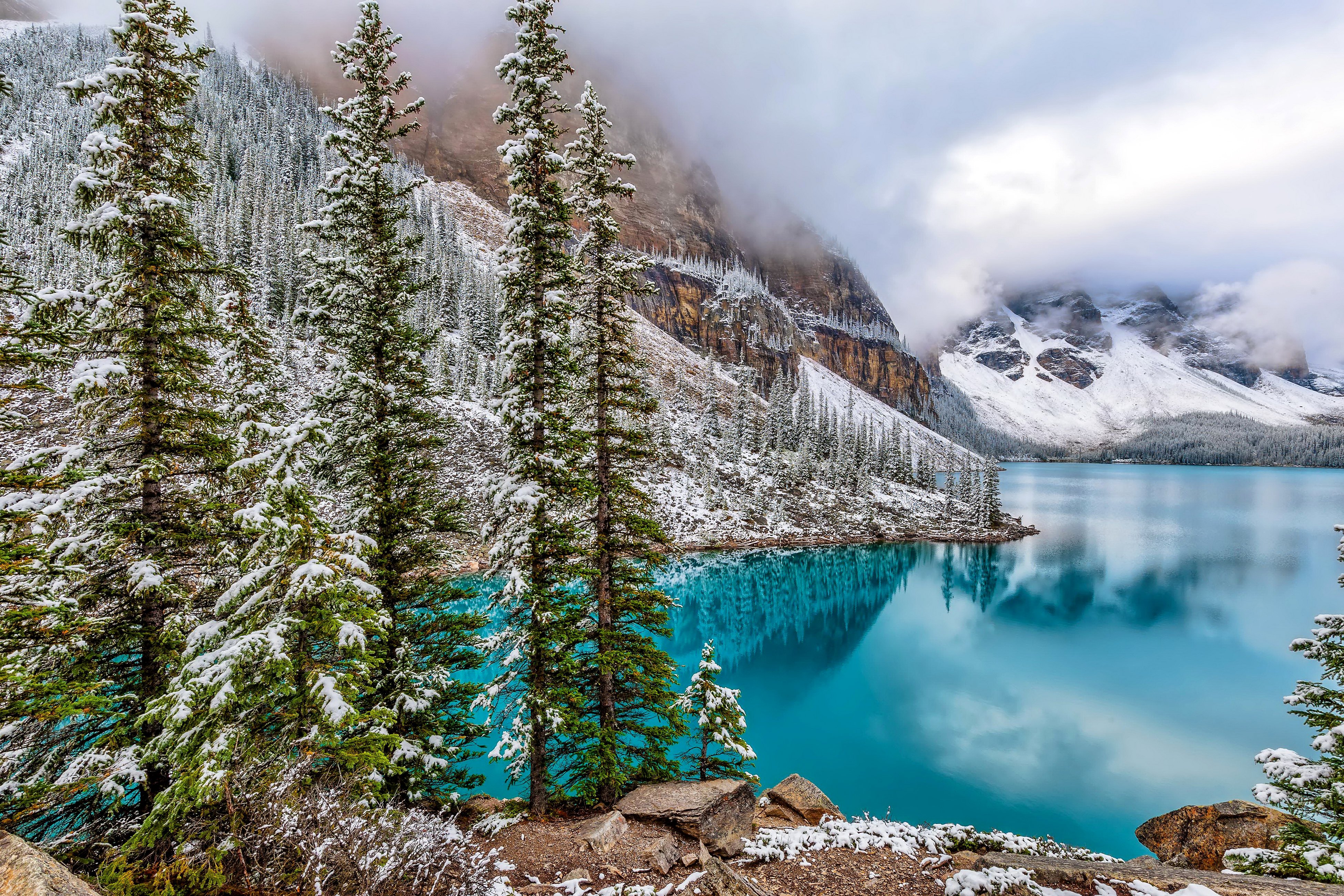 canada, Lake, Parks, Moraine, Lake, Banff, Snow, Fir, Nature Wallpaper