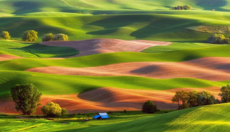 hills, Trees, House, Field, Grass, Carpets, House, Landscape, Nature HD Wallpaper Desktop Background