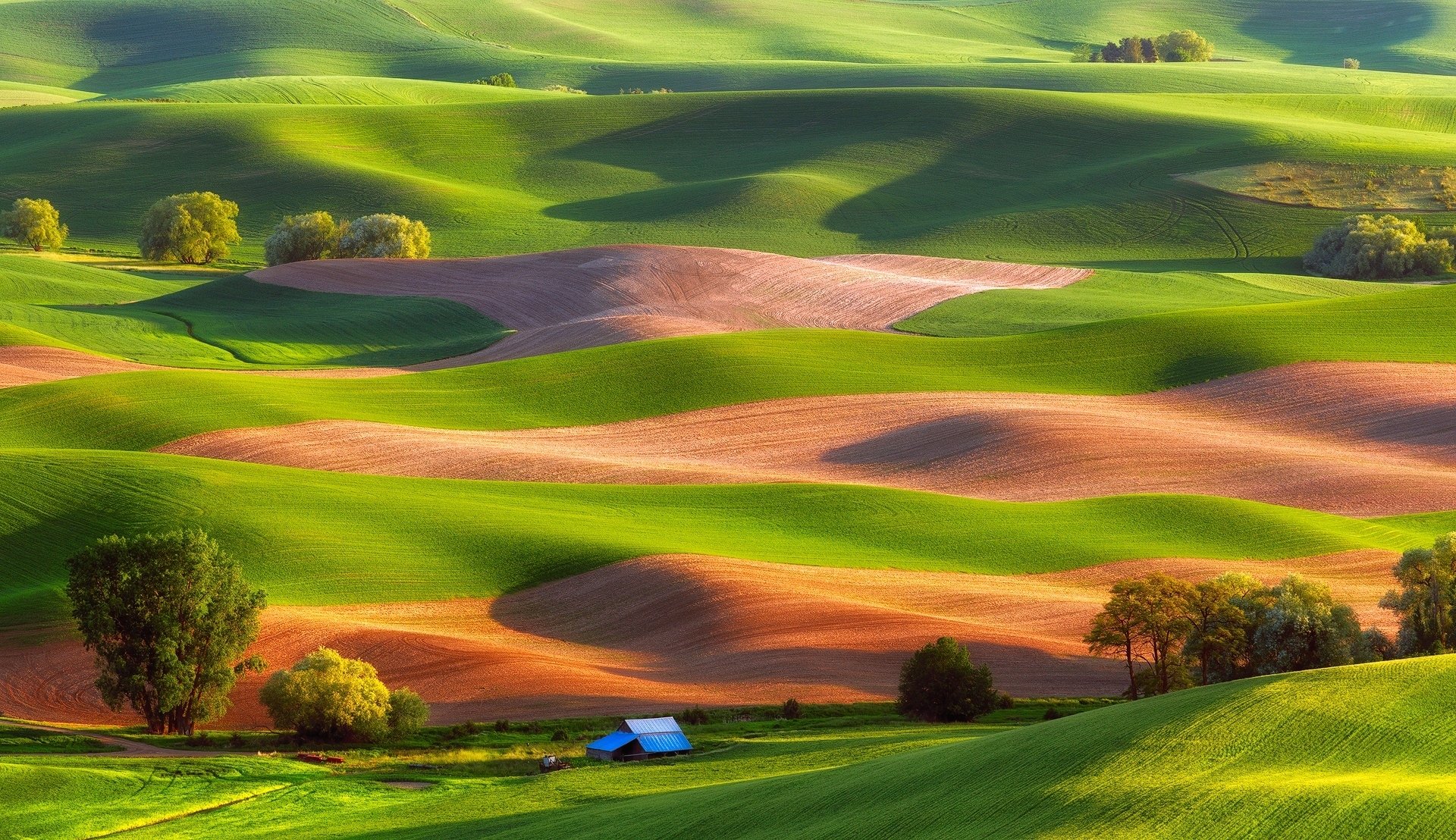 hills, Trees, House, Field, Grass, Carpets, House, Landscape, Nature Wallpaper