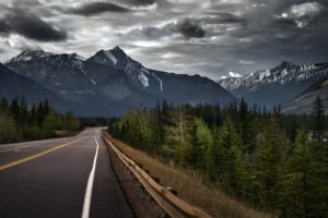 jasper, Alberta, Canada, Canadian, Rockies, Mountain, Road, Forest, Trees