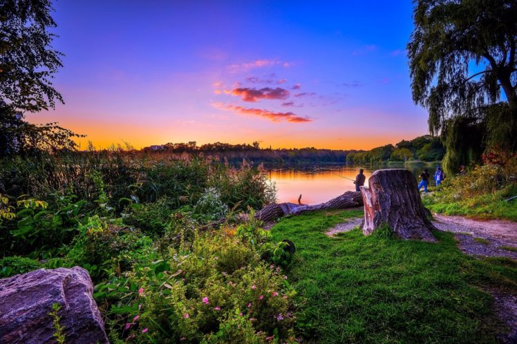 scenery, Lake, Sunrises, And, Sunsets, Sky, Tree, Stump, Grass, Nature HD Wallpaper Desktop Background