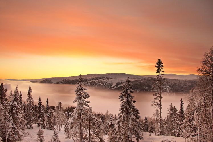 scenery, Seasons, Winter, Rivers, Sunrises, And, Sunsets, Fir, Nature HD Wallpaper Desktop Background