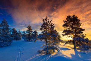 snow, Naglestadheia, Winter, Frost, Norway